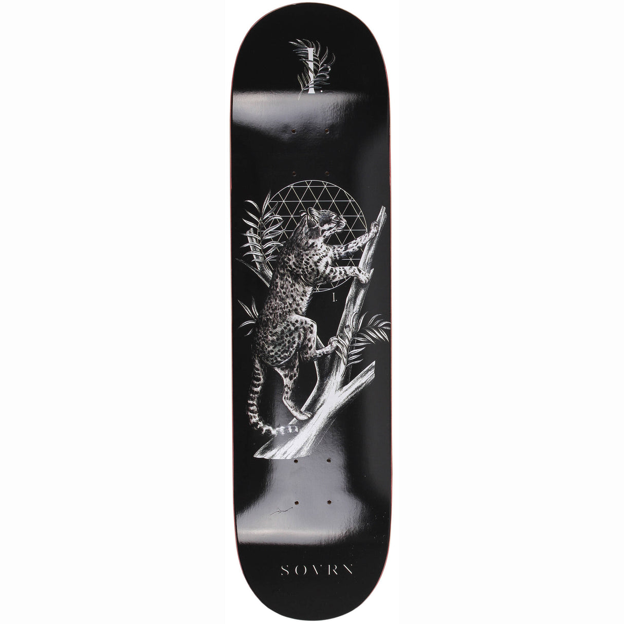 SOVRN Felis B Skateboard Deck - 8''