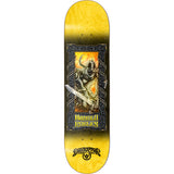 Darkstar Anthology 2 R7 Skateboard Deck