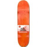 Darkroom Sanctuary Skateboard Deck 8.25"