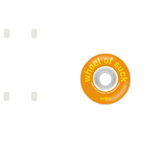 Enjoi Wheel of Suck Skateboard Wheels - Orange 51mm
