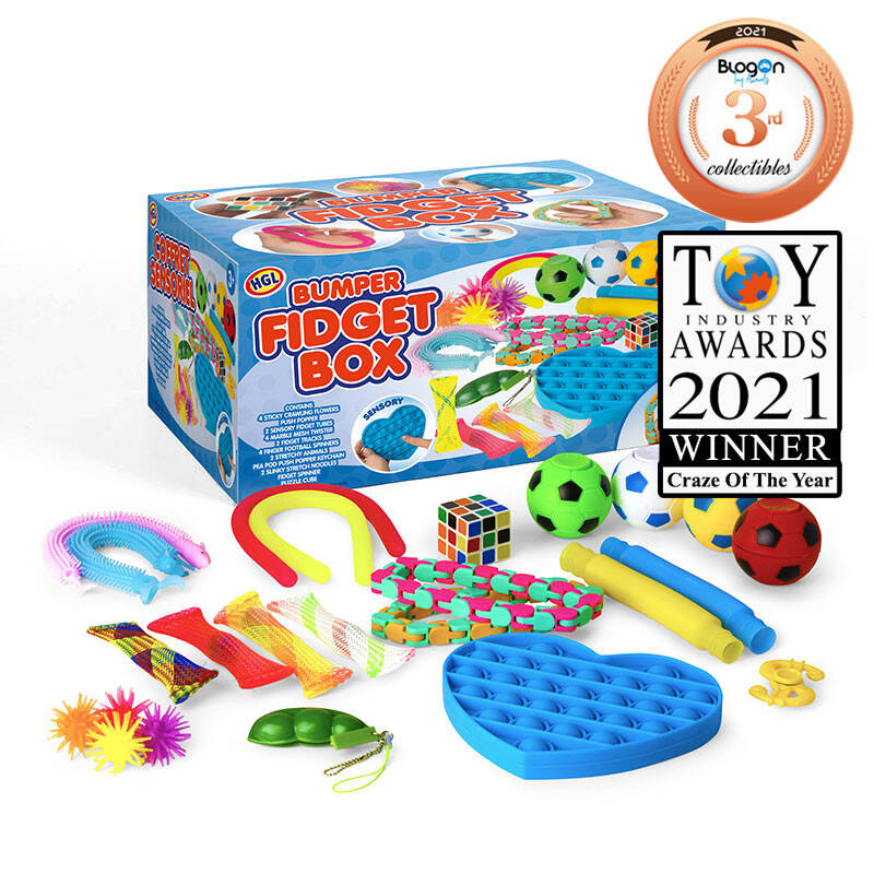HGL Bumper Fidget Box (24 Piece)
