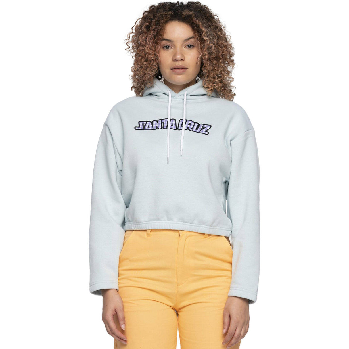 Santa Cruz Gingham Arch Strip Hoodie - Baby Blue