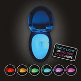 #winning Toilet Bowl Light