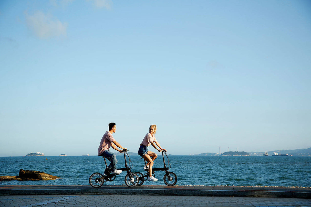 Xiaomi Mi Electric Bike