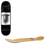 Zero Ilo Ballpoint Skateboard Deck - Sandoval 8.125"
