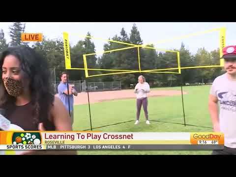 Crossnet Four Square Soccer Net